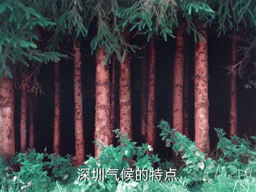 深圳天氣預(yù)報(bào)濕度，天氣預(yù)報(bào)中的濕度是什么意思？