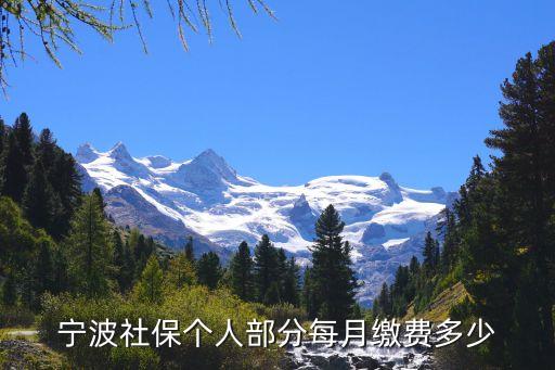寧波社?；鶖?shù),寧波社保繳費基數(shù)2019年底公布詳細繳費比例