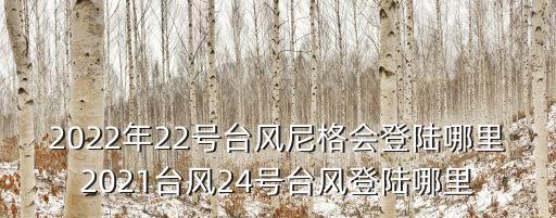 2022年22號臺風尼格會登陸哪里2021臺風24號臺風登陸哪里