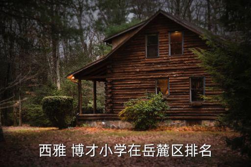 博才小學,長沙市博才卓越小學名列第二僅次于實驗小學