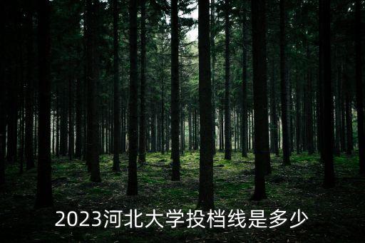 2023河北大學投檔線是多少