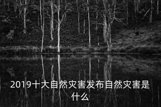 2019年臺風(fēng),今年第9號臺風(fēng)利奇馬登陸我國強(qiáng)度最強(qiáng)