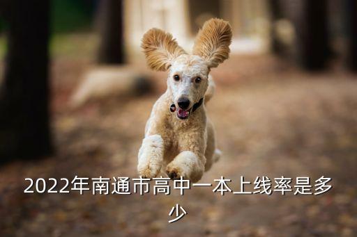 2022年南通市高中一本上線率是多少