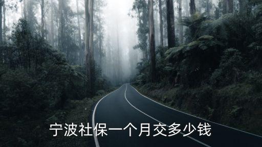 寧波社保一個月交多少錢