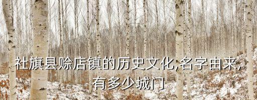 社旗縣賒店鎮(zhèn)的歷史文化,名字由來,有多少城門