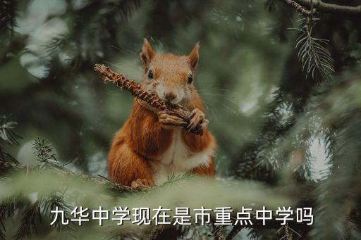 九華中學,九華中學是市重點中學嗎?不是!