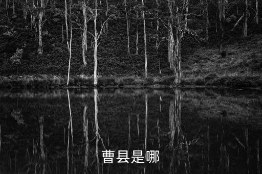 曹縣在哪個省哪個市,山東菏澤隸屬于哪個省轄市