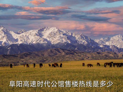 阜陽高速時代公館售樓熱線是多少