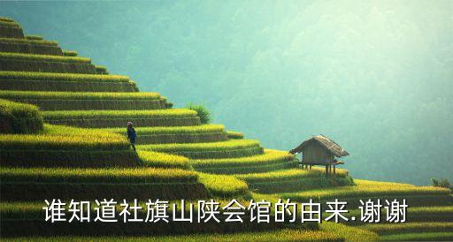 社旗鎮,走進山陜會館你就知道其中一個