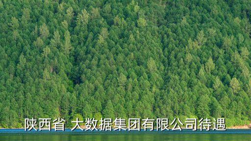 大數據集團,貴州梵云大數據集團有限公司電話是多少?