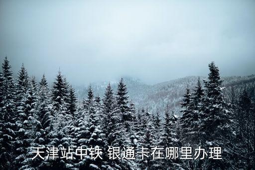 天津站中鐵 銀通卡在哪里辦理