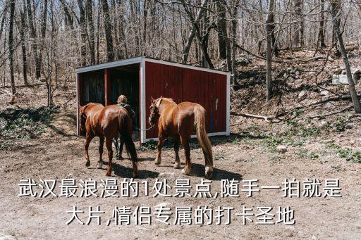 武漢最浪漫的1處景點,隨手一拍就是大片,情侶專屬的打卡圣地