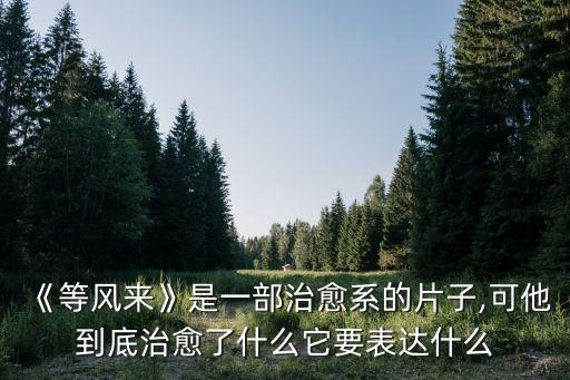等風(fēng)來電影,電影《等風(fēng)來》:沒風(fēng)的時(shí)候別著急