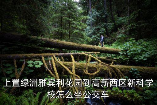 成都高新新科學校,到達成都高新新科學校途經四座城市