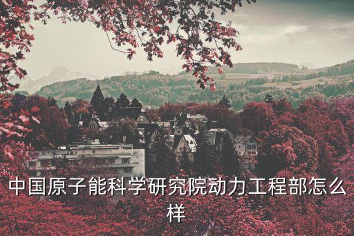 中國原子能科學研究院動力工程部怎么樣