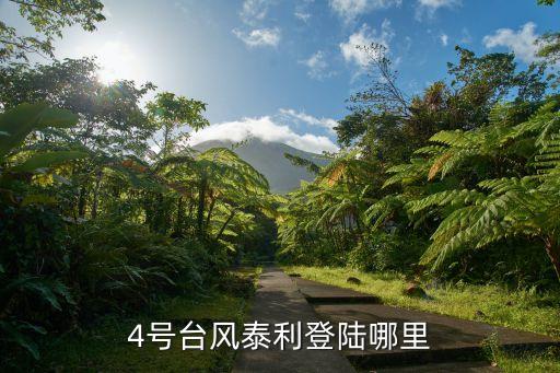四號臺風(fēng)最新消息,4號臺風(fēng)黑格比最大風(fēng)力多少級?