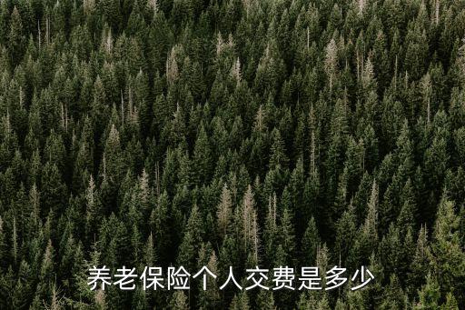養(yǎng)老保險個人交費是多少