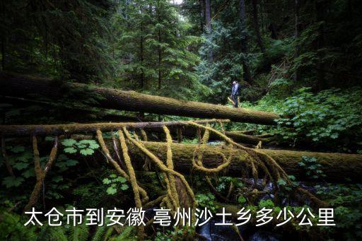 亳州沙土,開(kāi)車到沙土鎮(zhèn)126公里路況介紹一下