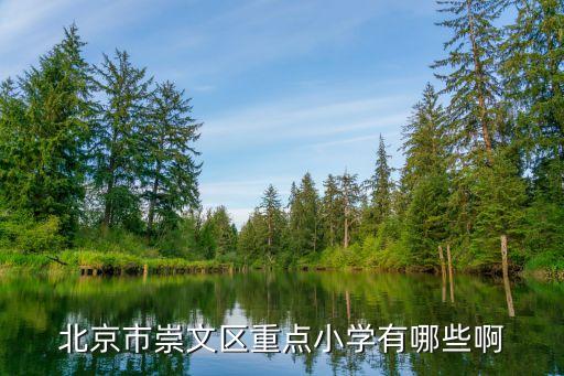 體育館路小學,小學劃片范圍:豐臺區實驗小學和金臺小學