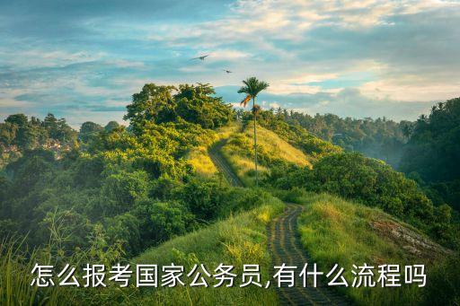 怎么報考國家公務(wù)員,有什么流程嗎