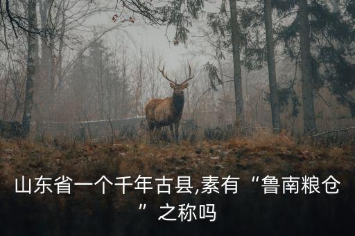 山東省一個千年古縣,素有“魯南糧倉”之稱嗎