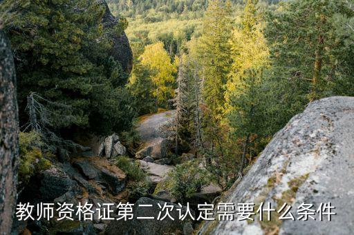 教師資格證第二次認定需要什么條件