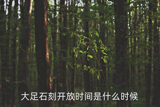 大足石刻開放時(shí)間是什么時(shí)候