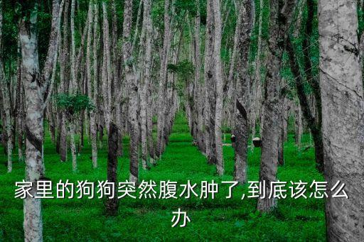 離我最近的寵物醫院,怎么去寵物醫院?