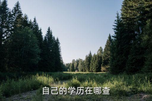 學(xué)歷查詢?nèi)肟?學(xué)信網(wǎng)教育學(xué)歷查詢?nèi)肟诔霈F(xiàn)在下圖頁面
