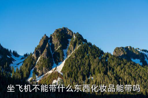 坐飛機不能帶什么東西化妝品能帶嗎