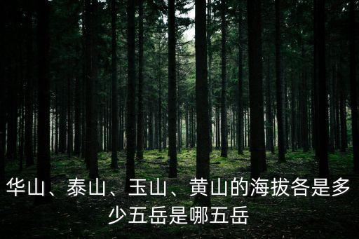 玉皇頂海拔,白頭山玉皇頂和瞻魯臺哪個高?