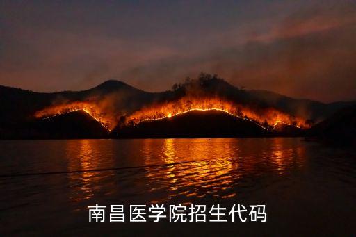 南昌醫(yī)學院招生代碼
