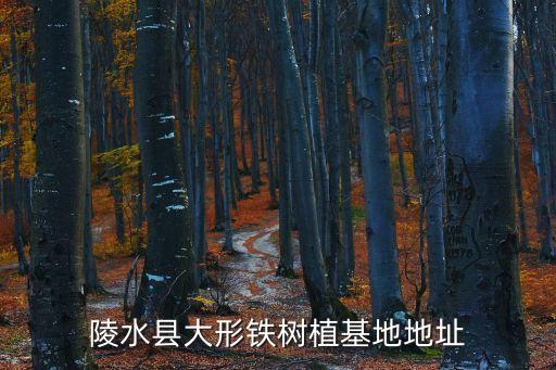 陵水黎族自治縣,陵水黎族自治縣大形古樹植基地位于海南省陵水縣