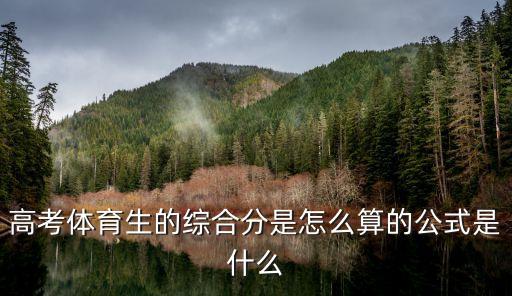 體育綜合分怎么算,高考體育生綜合分怎么算?