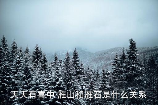 天天有喜中 雁山和雁石是什么關系