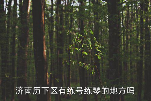 鋼琴工作室,12家鋼琴工作室的發(fā)展戰(zhàn)略
