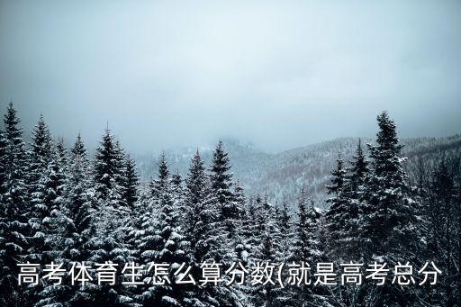 高考體育生怎么算分數(shù)(就是高考總分
