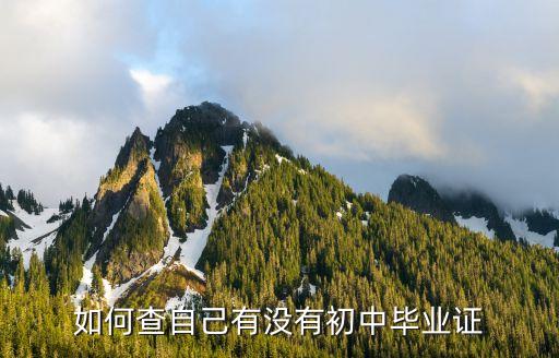 初中學歷怎么查詢,初中生怎么查學籍?
