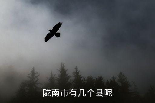 康縣屬于哪個(gè)市,甘肅省隴南市有8個(gè)縣