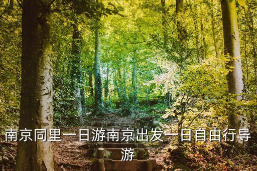 周莊自由行攻略,五城自由行攻略:西溪濕地是最好去的地方