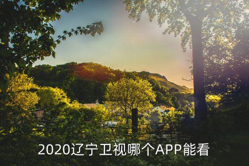 遼寧衛視在線直播高清觀看,遼寧衛視春晚現場直播