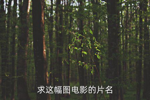 求這幅圖電影的片名