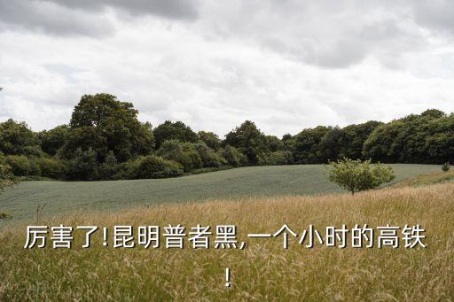 厲害了!昆明普者黑,一個小時的高鐵!