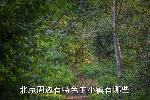大廠影視小鎮,《黑貓》在河北廊坊開機