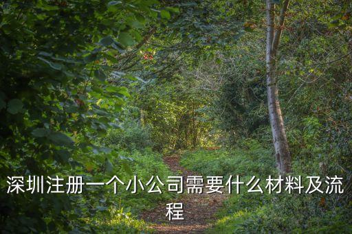 深圳注冊一個小公司需要什么材料及流程