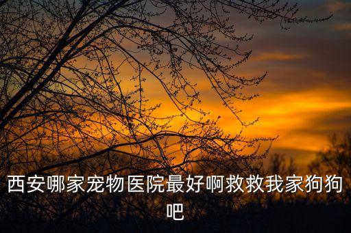 西安寵物醫(yī)院,西安哪里有比較好點(diǎn)寵物醫(yī)院?