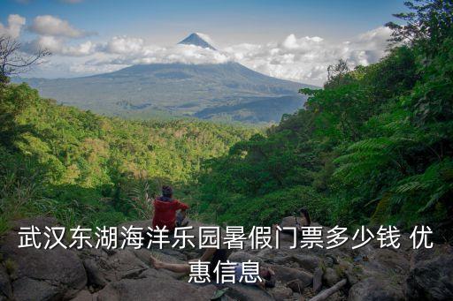 暑假樂園,香港迪士尼暑假期間不算普通日