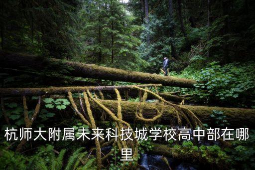 杭師大附屬未來科技城學校高中部在哪里