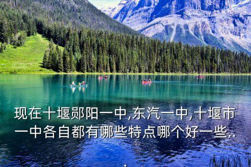現(xiàn)在十堰鄖陽一中,東汽一中,十堰市一中各自都有哪些特點(diǎn)哪個好一些...