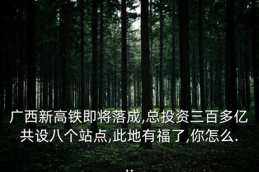 廣西新高鐵即將落成,總投資三百多億共設八個站點,此地有福了,你怎么...